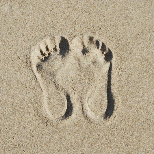 What's Your Ecological Footprint?